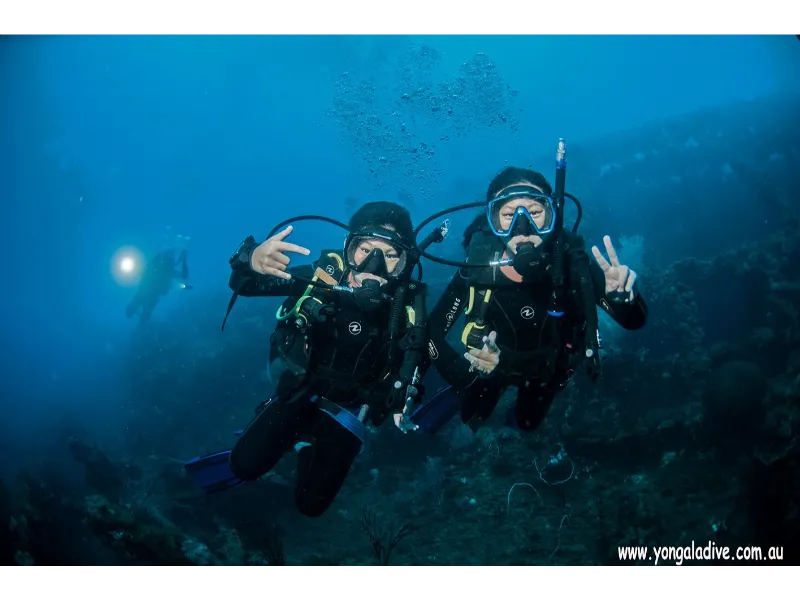 Yongala Dive