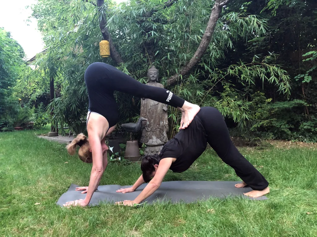 Trikāla Not Just Yoga Image