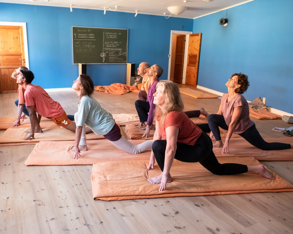 Yogaskolen In Aarhus Image