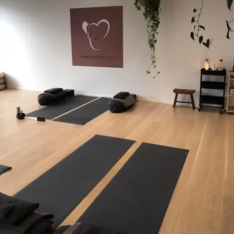 Zanne Kilden Yoga Image