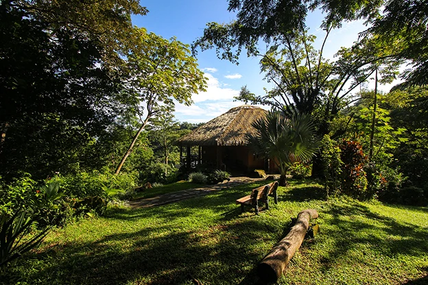 Ama Tierra Yoga Retreat & Wellness Center 