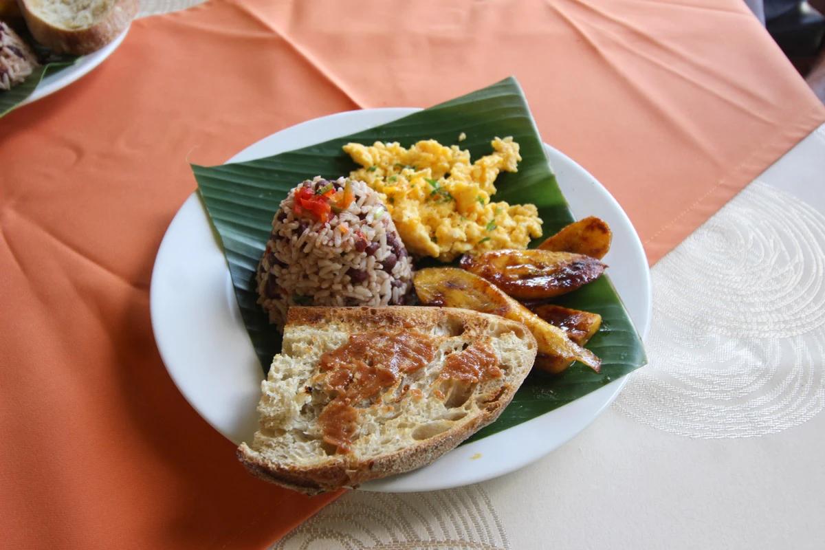 Ama Tierra Yoga Retreat & Wellness Center
