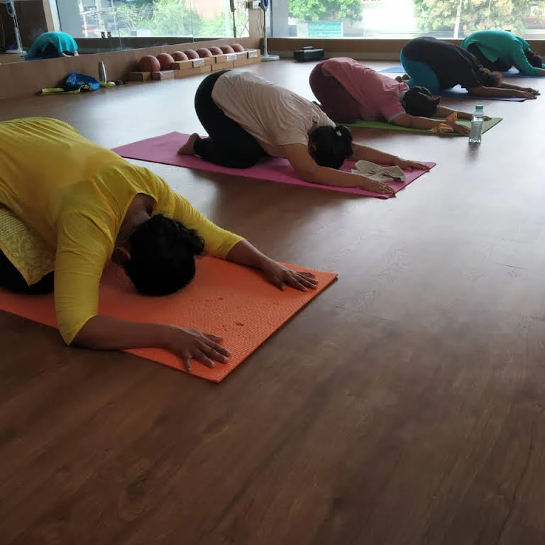 Auro Yoga Studio 