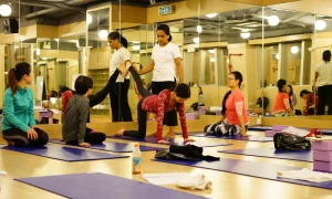 Dr. Asanas Yoga Therapy And Research Centre India