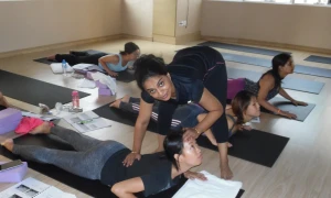 Dr. Asanas Yoga Therapy And Research Centre India