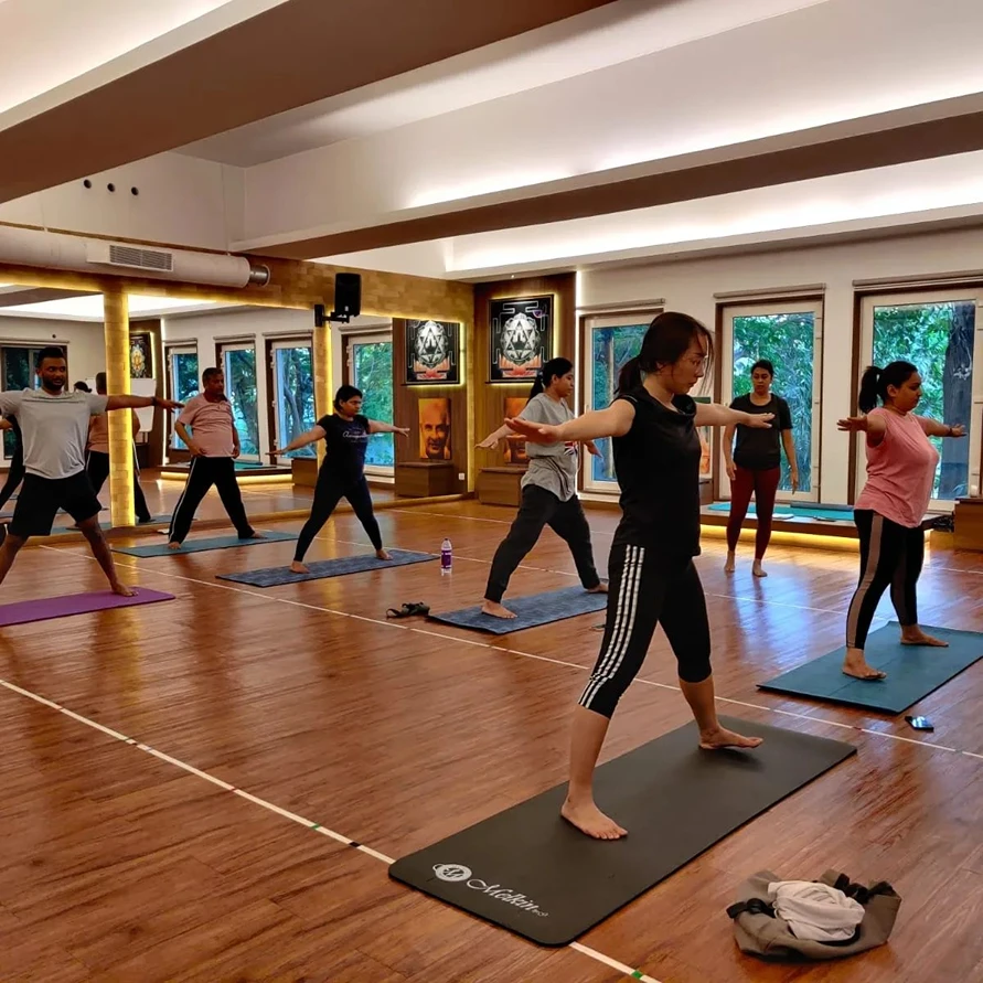 136.1 Yoga And Wellness Academy Chennai