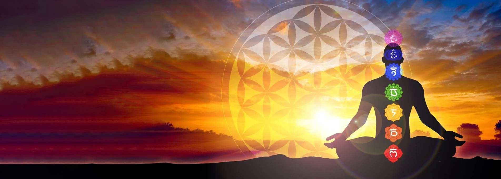 Ayurveda Yogashram 
