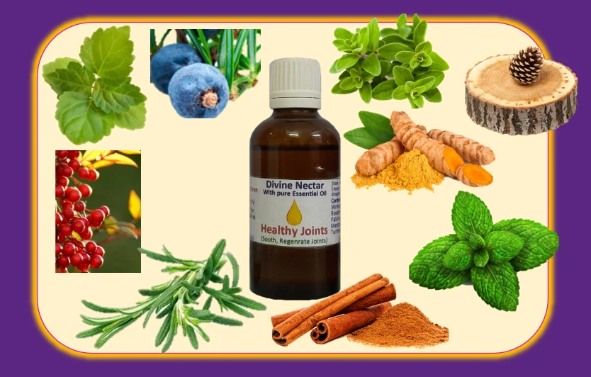 Inner Wellness Circle Hyderabad