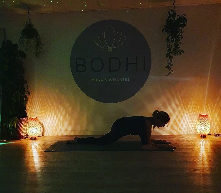 Bodhi Yoga Institute India