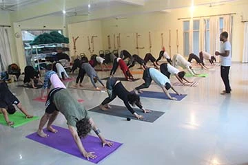 Ekam Yoga