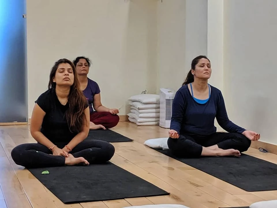 Delhi School Of Yoga 