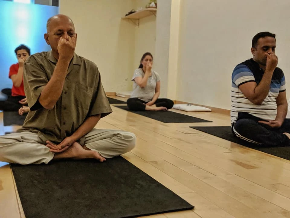 Delhi School Of Yoga New Delhi