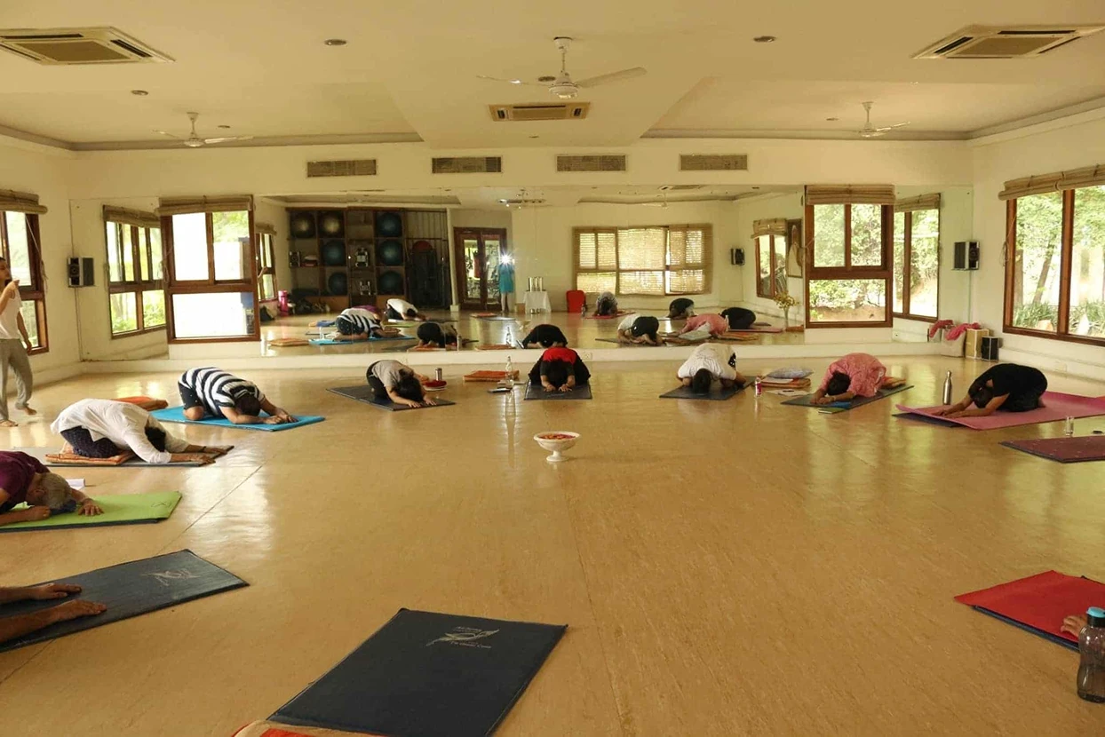 Hith Yoga 