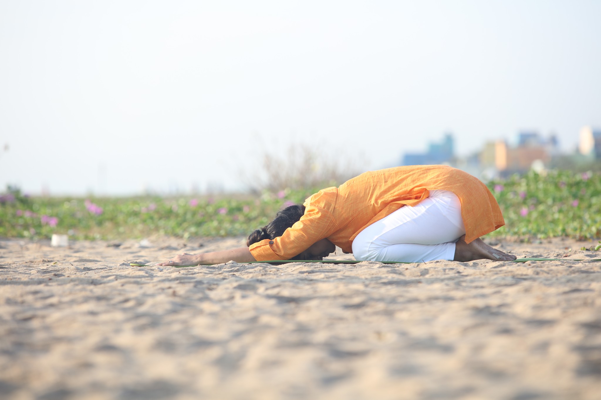 The Indian School Of Breathing 