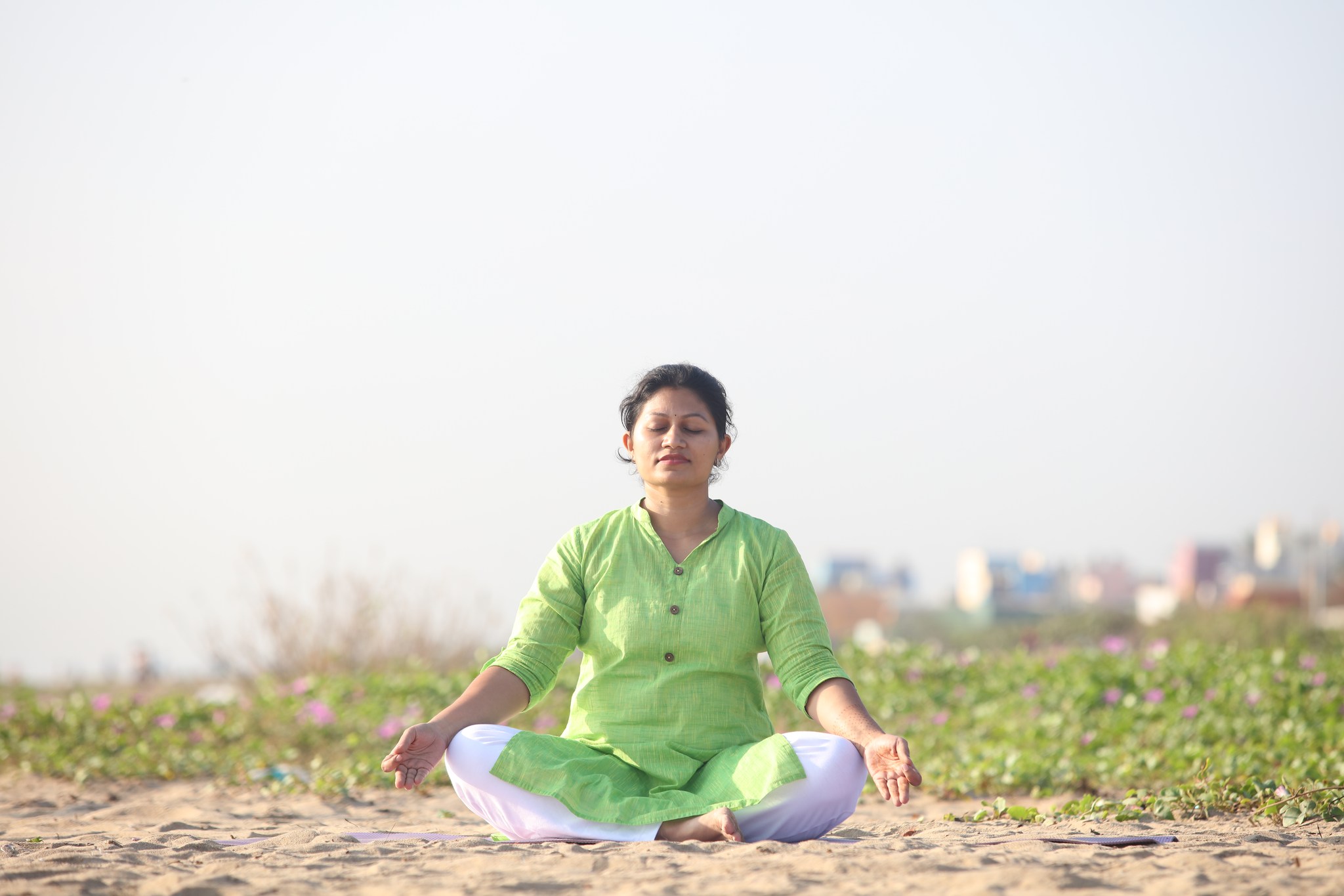 The Indian School Of Breathing 