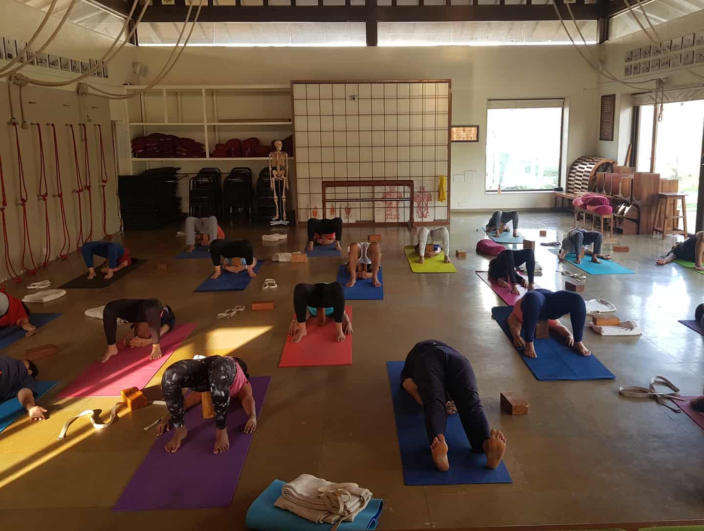 Shriyog institute of Iyengar Yoga Magarpatta 