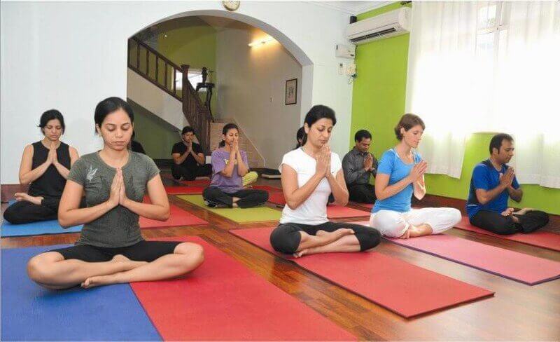 Namrata's World Of Yoga 