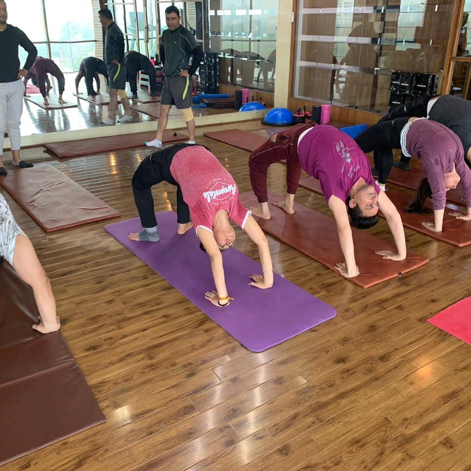 Livyogfit 
