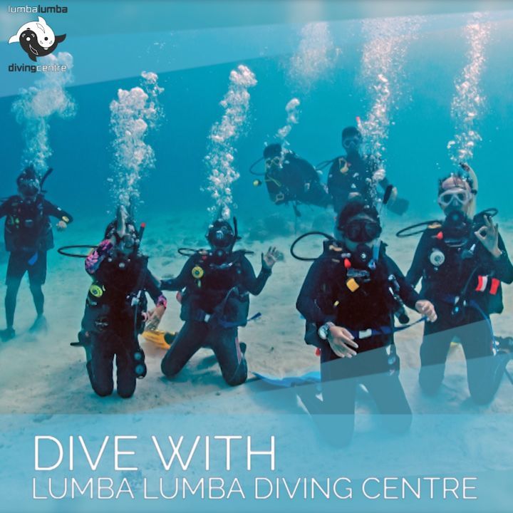 Lumba Lumba Diving Centre & Beach Resort