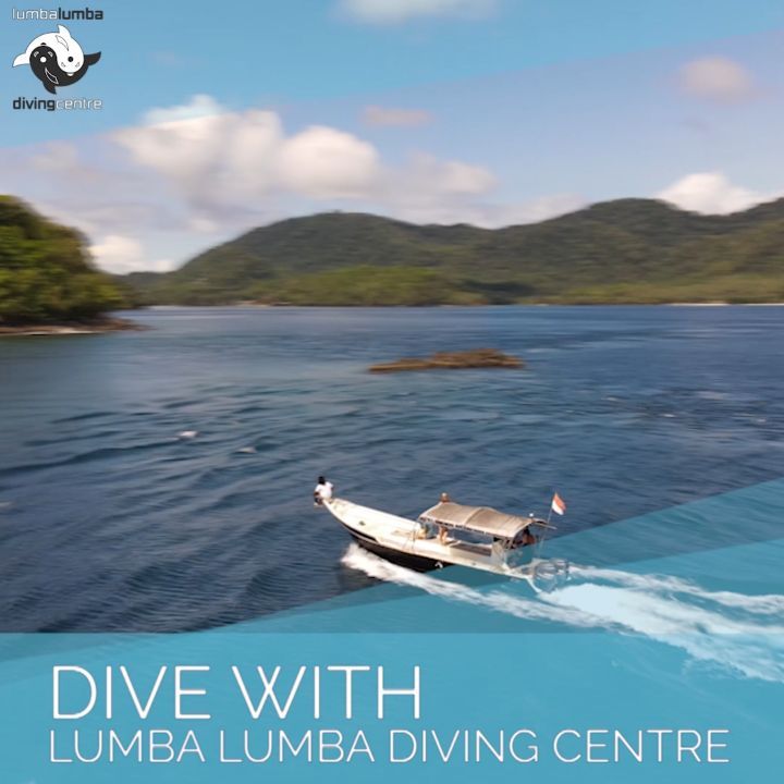 Lumba Lumba Diving Centre & Beach Resort 