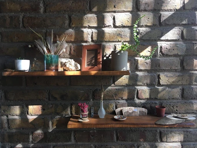 Semilla Yoga y Arte Argentina