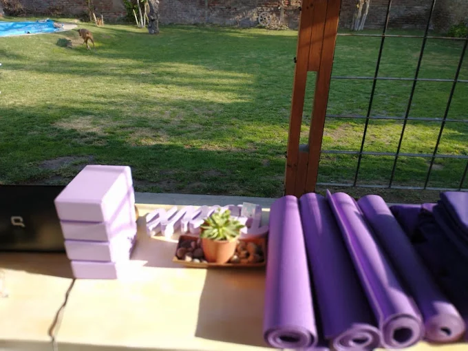 Jacaranda Yoga 