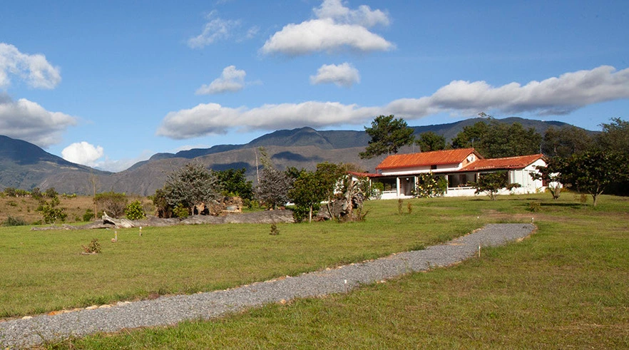 Medellín