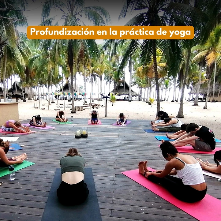 Yoga Domo Estudio 