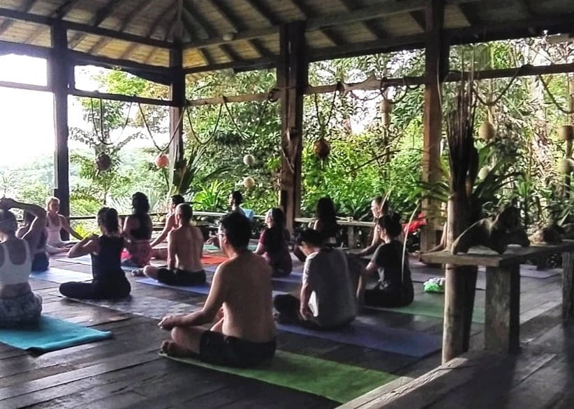Yoga Domo Estudio 