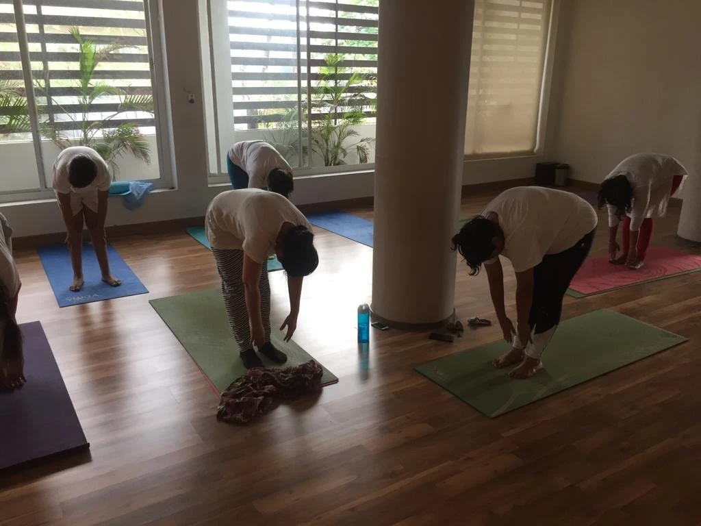 Vidhi's Yoga Art Studio Image