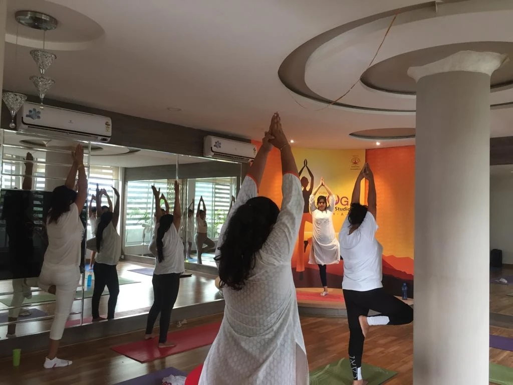Vidhi's Yoga Art Studio 