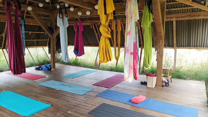 Aerial Yoga Munich By Markus 