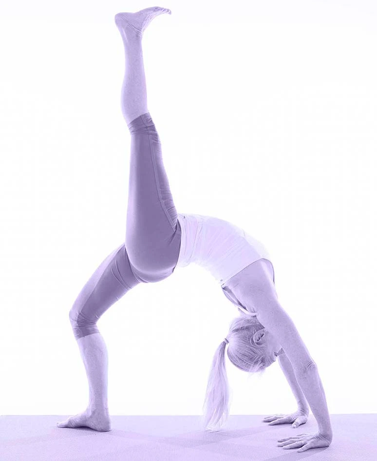 Vijnana Yoga Mit Sonia
