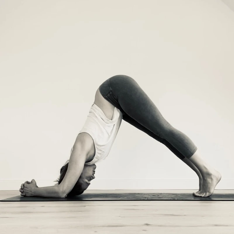 Yippieyoga Online Studio Germany