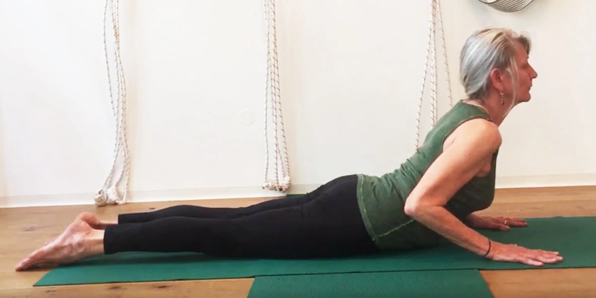 Yogashala Iyengar Yoga 