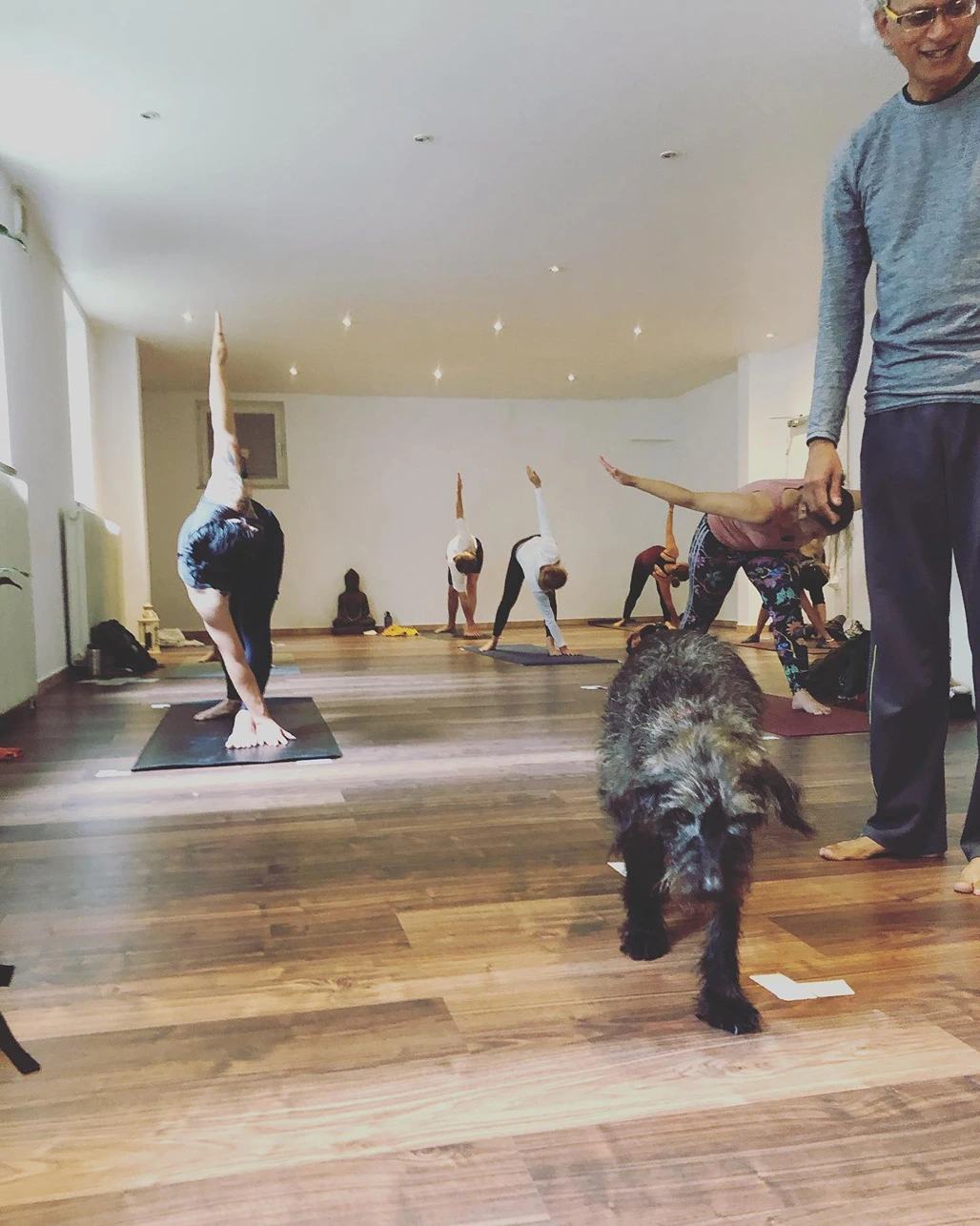 Ashtanga Yoga Institut München 