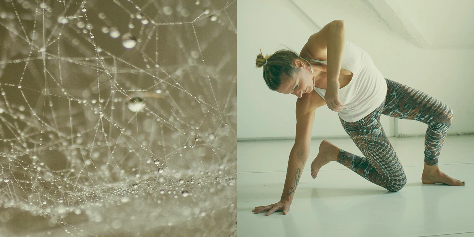 Jaya Yogastudio I. Rückgebäude 