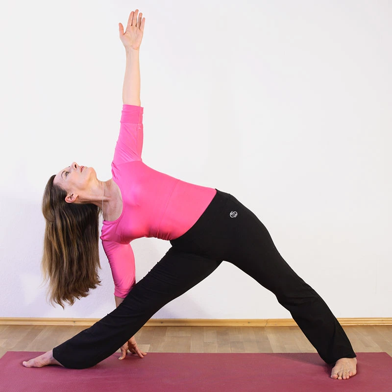 Prana Iyengar Yoga Institute In Munich Munich