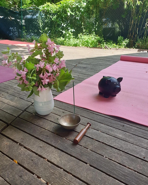 Santoṣa Yoga 