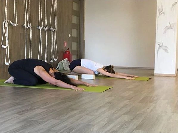 Дом Йоги Yogaplanet Russia