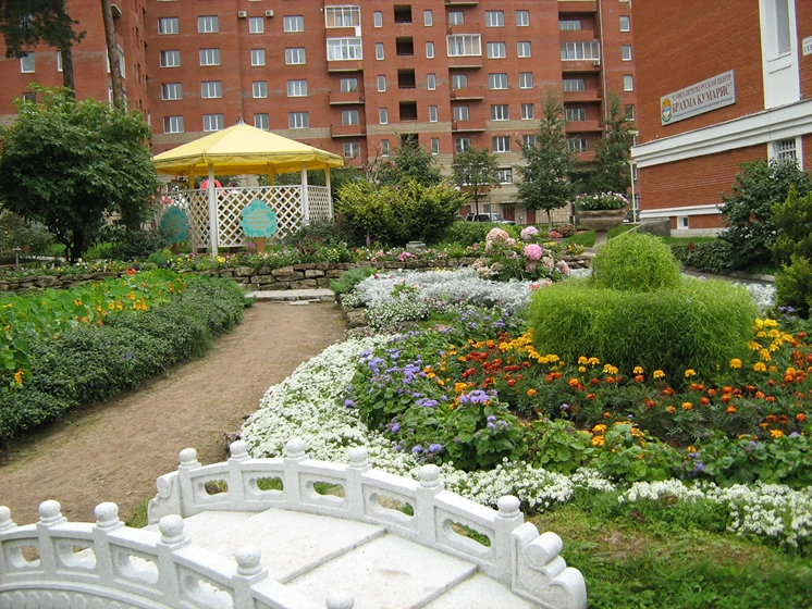 Brahma Kumaris 