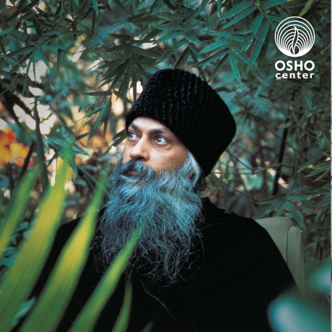City Osho Meditation Center 