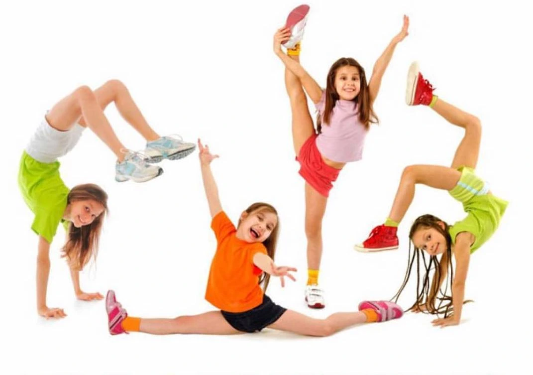 Forest Fit Novosibirsk