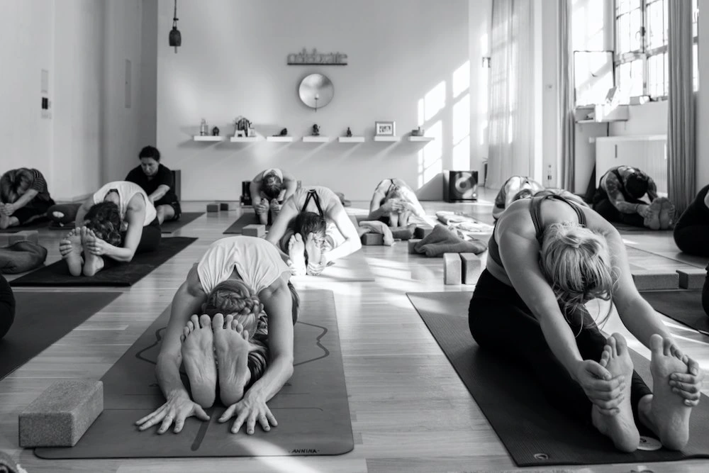 Jivamukti Yoga School Germany