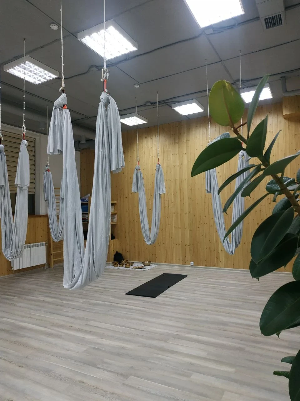Studiya 56 Yoga-studiya 