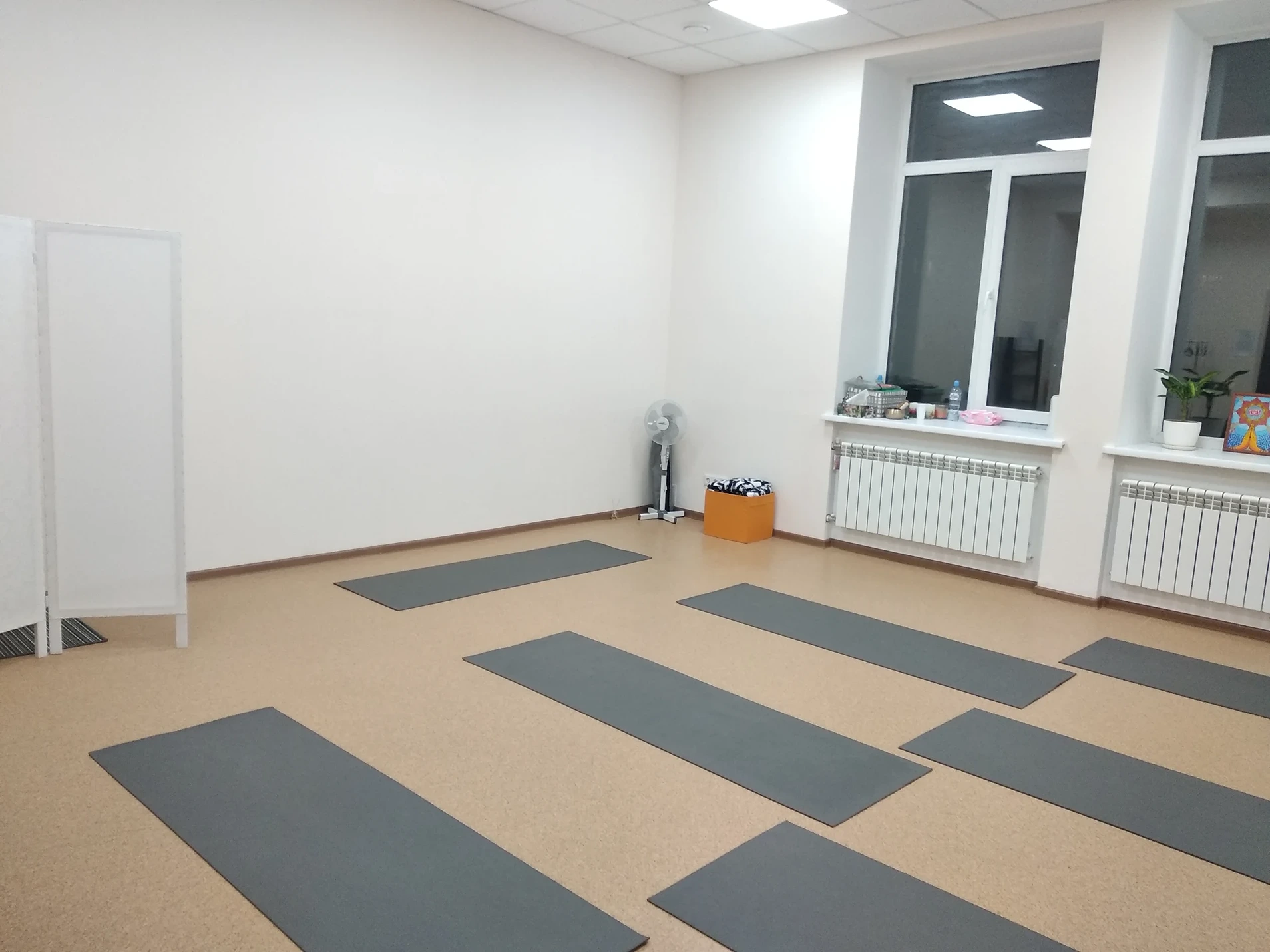 Studiya Yogi Andzhali Novosibirsk
