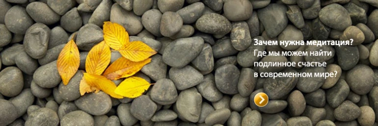 Tergar Meditation Community In Moscow