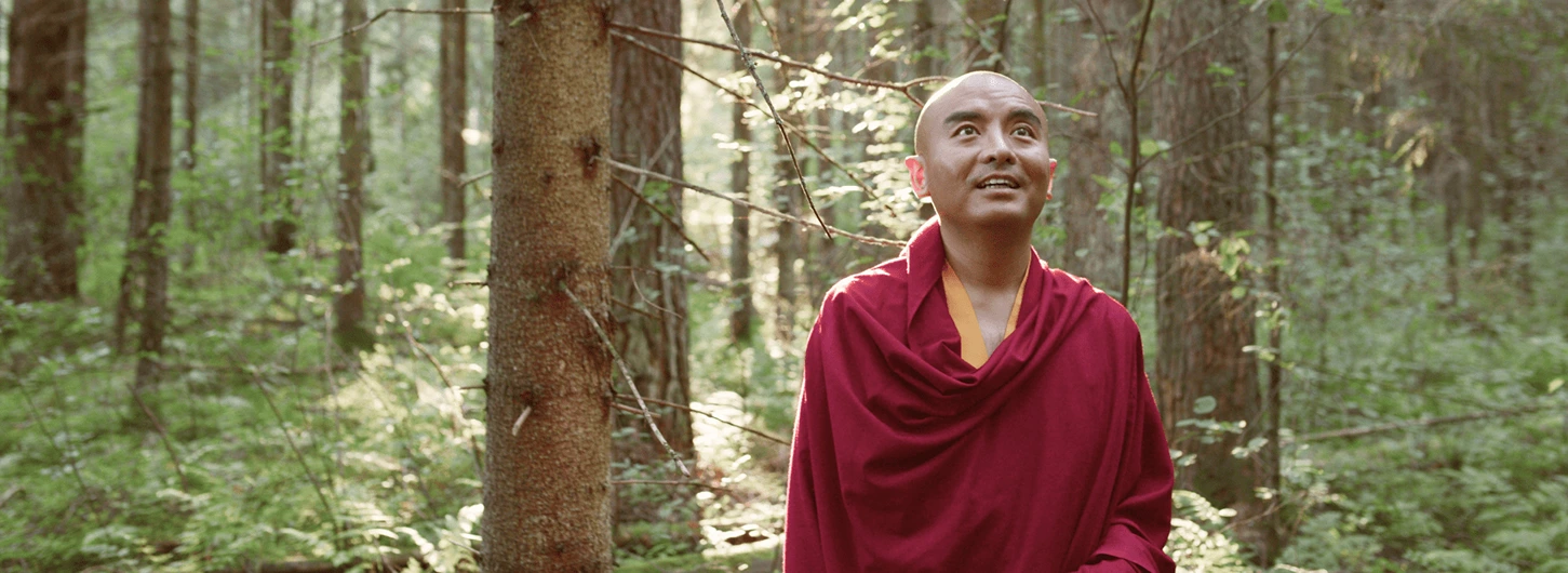 Tergar Meditation Community In Moscow Moscow