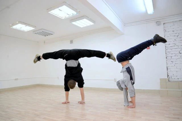 Vozrozhdeniye Yoga Fitnes Tantsy Yedinoborstva Russia
