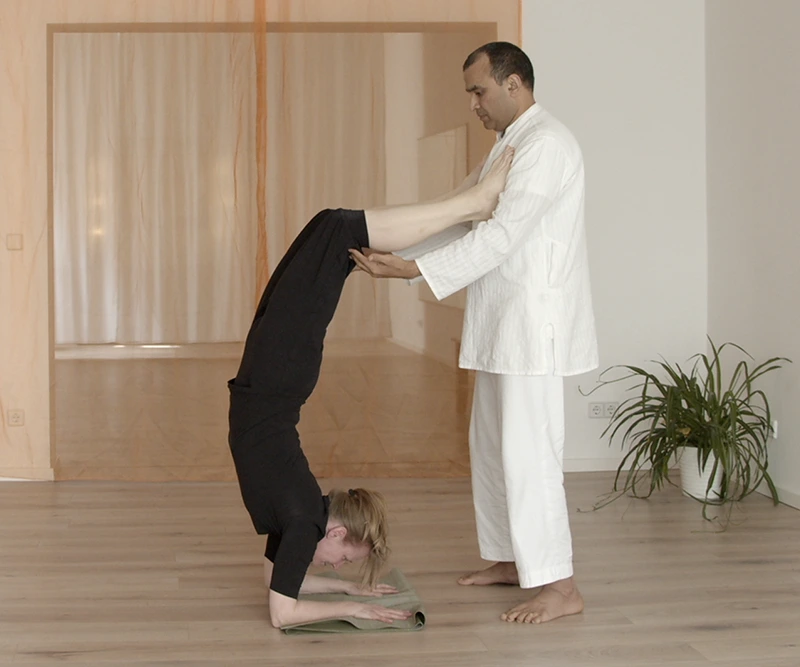 YOGA VIHAR 